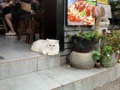 -家烧面馆【南山路知名经典面食】