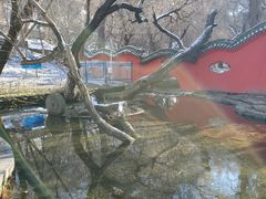 -水磨沟公园