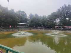 -尚庄度假村·庭台树下·户外烧烤·团建CS·轰趴营地(上庄水库店)