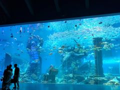 -哈尔滨波塞冬海底世界