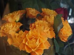 -L.C FLORA花予你(城西银泰城店)