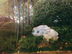 -静安公园(静安寺街道)