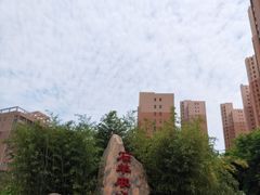 -石羊农庄