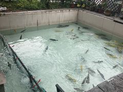 -钰田大院·碳烤虹鳟鱼·怀柔地道农家菜(雁栖湖店)