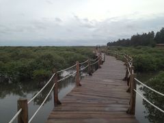 -北海金海湾红树林生态旅游区