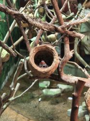 -Zoolung Zoolung动物主题公园(海信广场店)