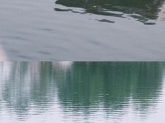 -洋湖国家湿地公园