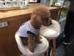 -边渡咖啡烘焙店(昙华林店)