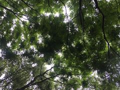 -同里国家湿地公园