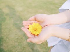-映月湖中央公园