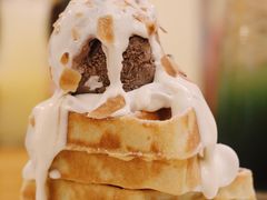 -more than meow吴止猫主题餐厅(承德 中船汇店)