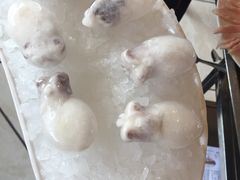 -之了火锅(公园街店)