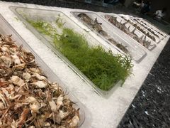 自选区-Isla Sugbu Seafood City