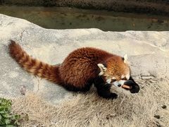 -南京金牛湖风景区