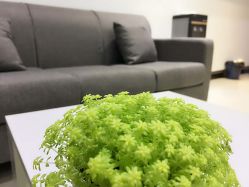 -韩方科颜专业祛痘中心