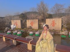 -香雪海