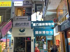 -猫咪博物馆(顶澳仔猫街店)