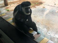 -上海动物园(地铁站)