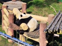 -沈阳森林动物园