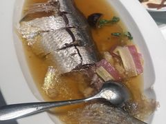 清蒸鲥鱼-忆家名门·上海菜(徐家汇店)