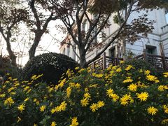 -南京东郊国宾馆