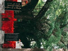 -浮来山风景区