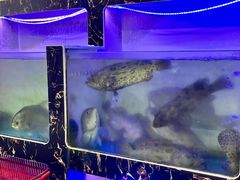 -众味海鲜大排档·活海鲜·潮汕味(南澳店)