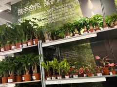 -宜家家居(哈尔滨商场店)