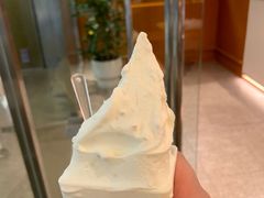 -野人先生现做冰淇淋(北京王府井东方新天地店)