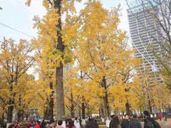 -百林公园-两江幸福广场