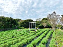 -济州森林小火车生态公园