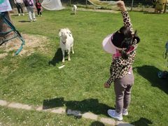 -前小桔亲子创意农场·草莓采摘·露营烧烤