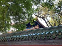 -北京国子监胡同