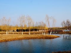 -东郊湿地公园