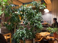 -慢丽江·云南野生菌土鸡锅(付家庄店)