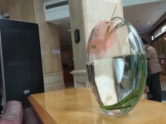 -成都天府丽都喜来登饭店