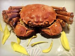 -蟹榭·本帮江浙菜·蟹宴(五角场合生汇商场店)