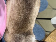 -藏猫猫咖啡主题馆(中央大道店)