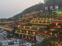 -枇杷园食为鲜火锅(南山店)