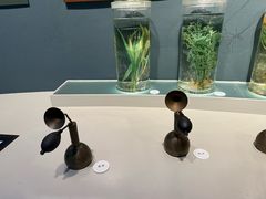 -中国湿地博物馆