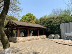 -白马涧龙池景区