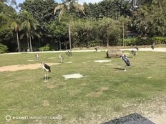 -广州长隆野生动物世界