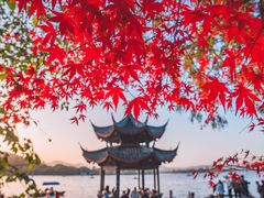 -中国茶叶博物馆(双峰馆区)