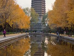 -玲珑塔公园