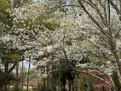 -好灶头妈妈菜·柴火灶台鱼·千岛湖土菜地标美食