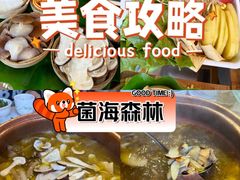 -菌海森林·非遗野生菌火锅(西山区滇池路摩根道店)