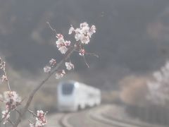 -居庸关长城