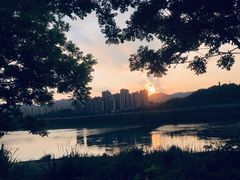 -金海湾滨江公园