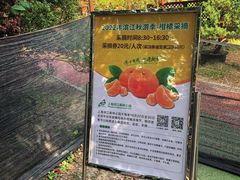 -上海滨江森林公园