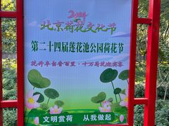 -莲花池公园